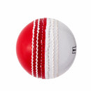 PVC Incrediball (Match weight)