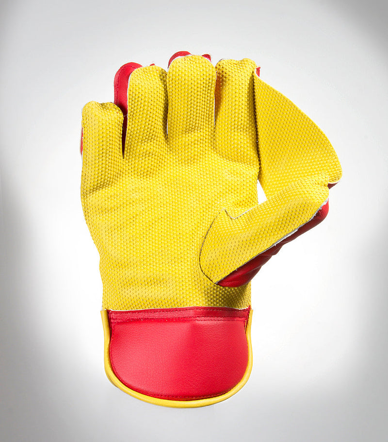 Classic Wicket Keeping Gloves