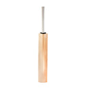 Plain Cricket Bat