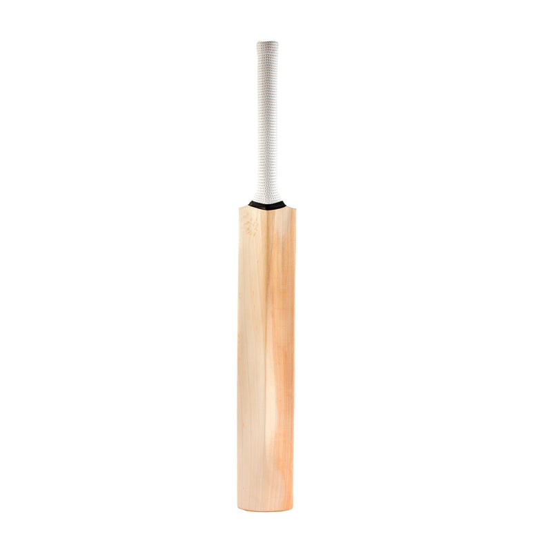 Plain Cricket Bat
