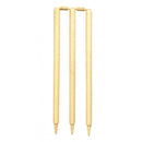 Cricket Stumps